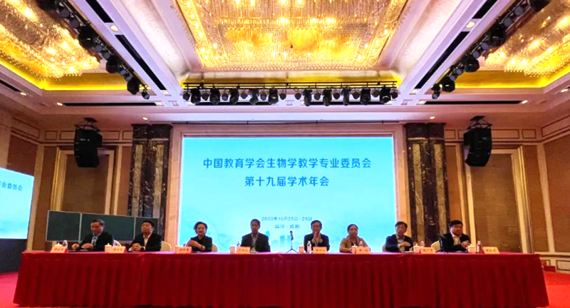 1699929869176100.png image1.png