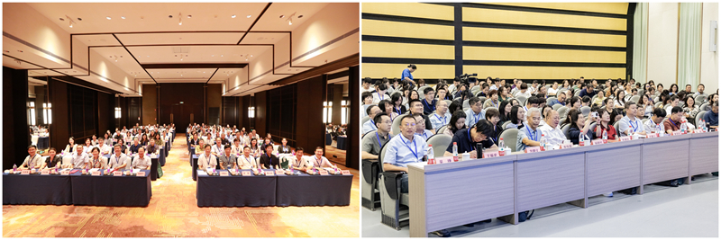 1758075372918045.jpg 组图4_800.jpg